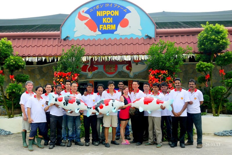 Nippon Koi Farm: Pioneering Innovation and Sustainable Aquaponics in ...