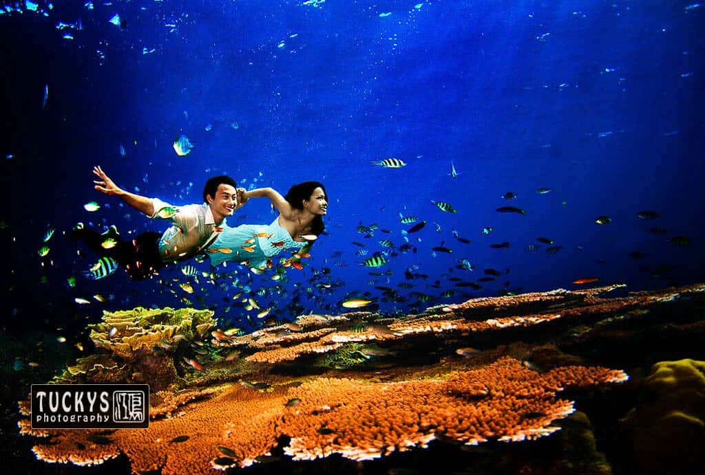 Underwater wedding portraits with coral and fish