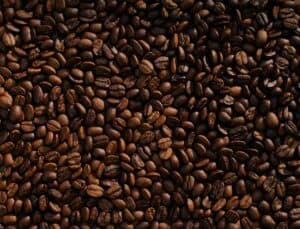 Best coffee bean brands
