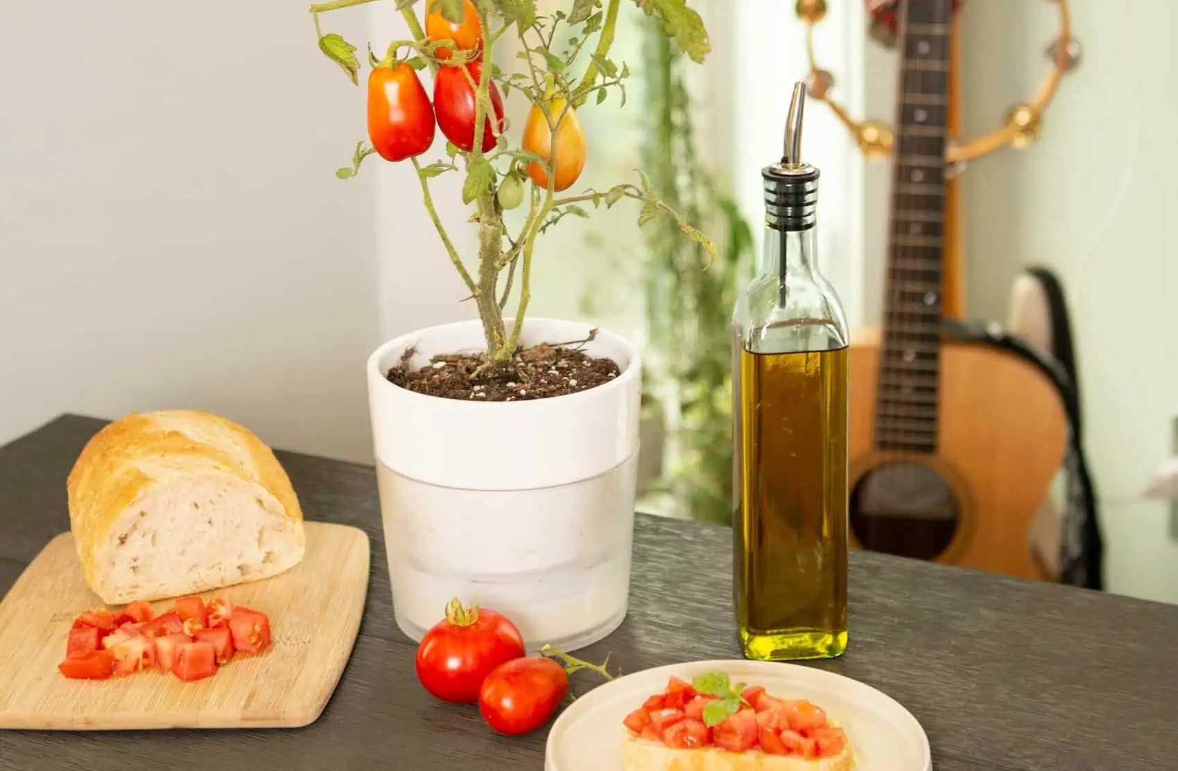 Best olive oil brands