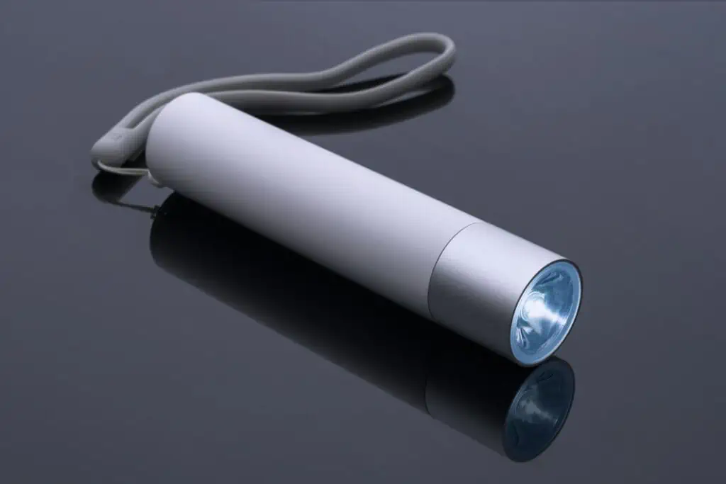 Best torch light brands