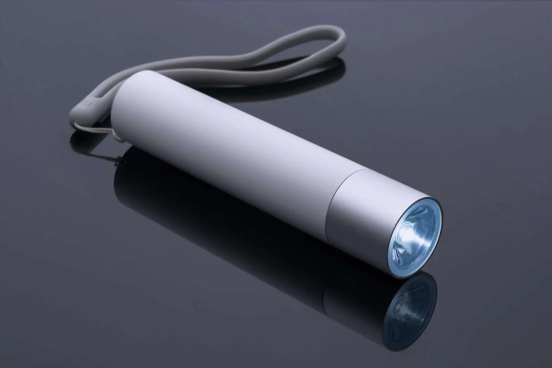 Best torch light brands