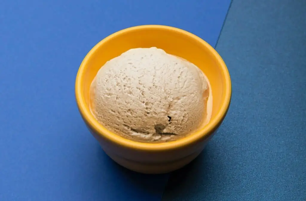 Best vanilla ice cream brands