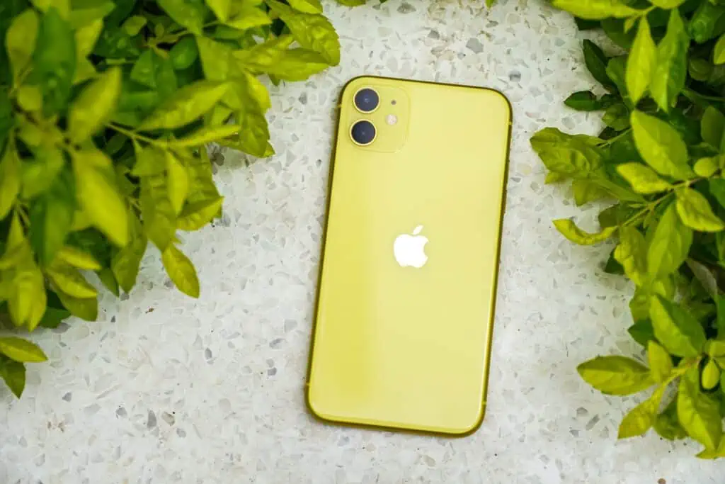 Best Phone Case Brands