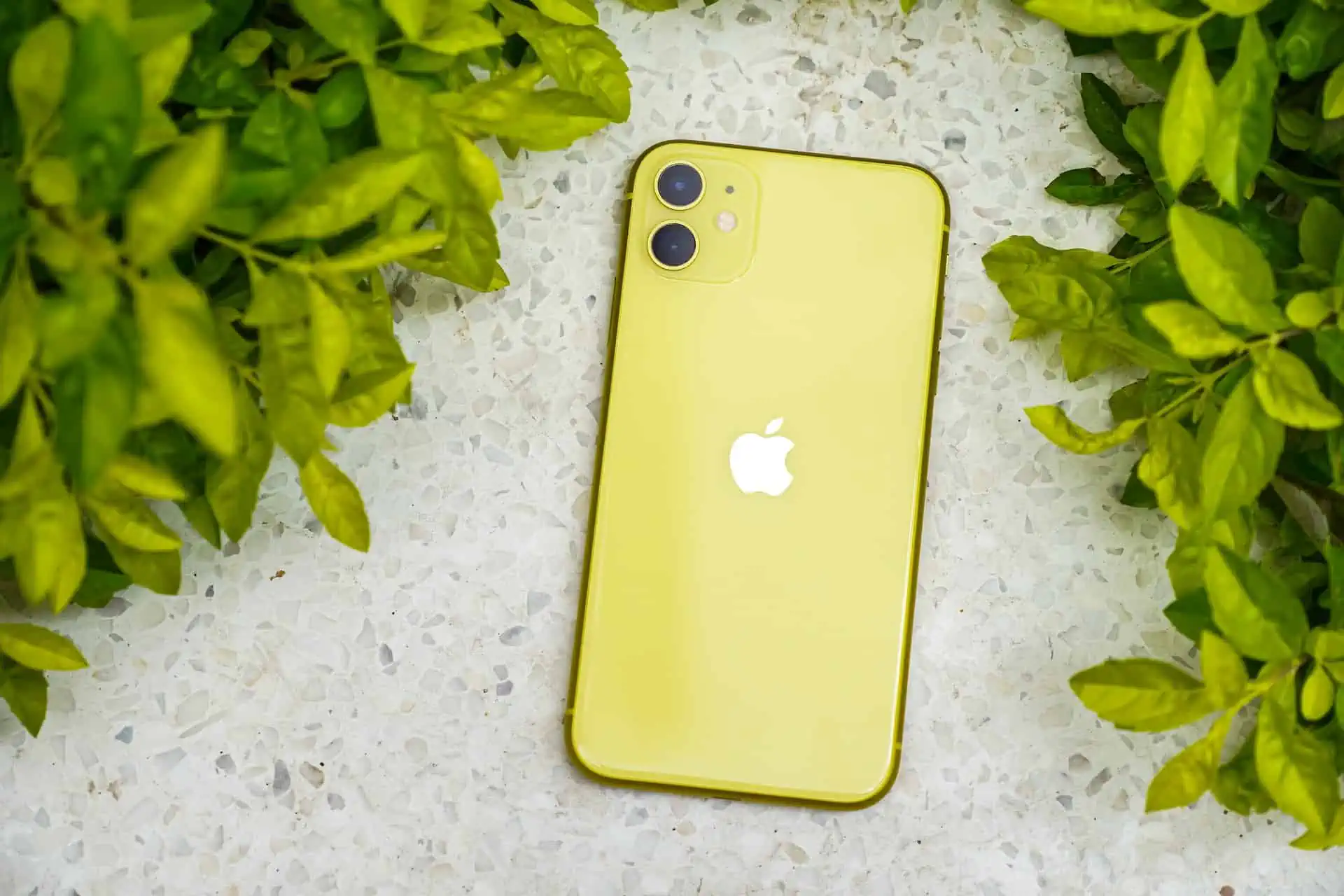 Best Phone Case Brands