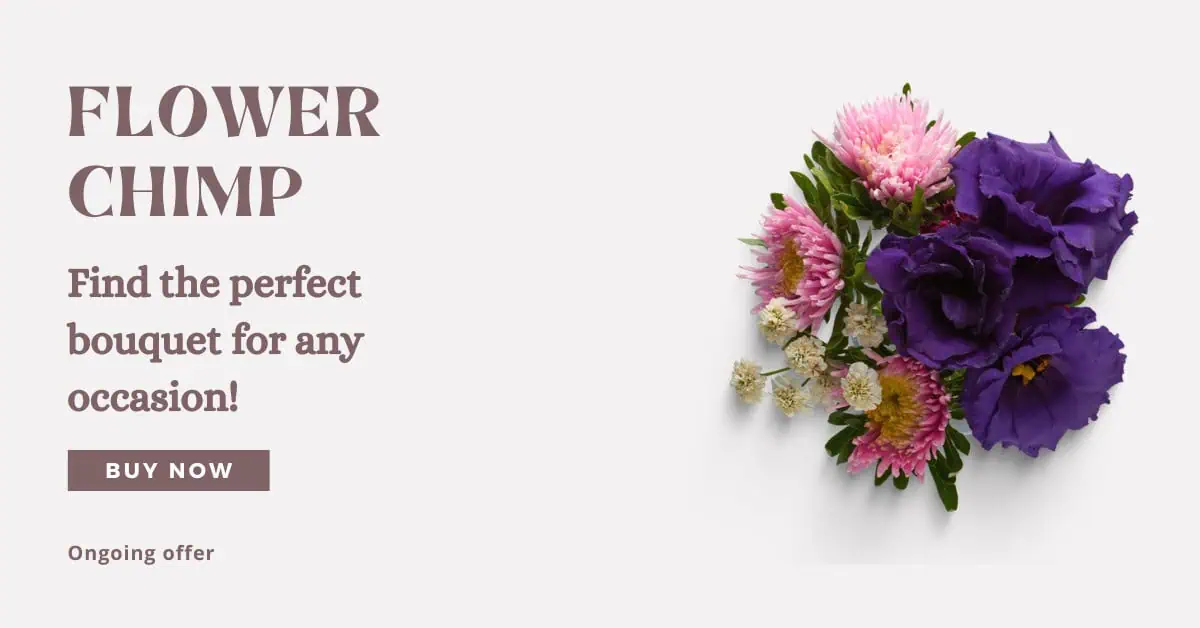 Beautiful Bouquets Under S$60 – Flower Chimp's Stunning Deals!