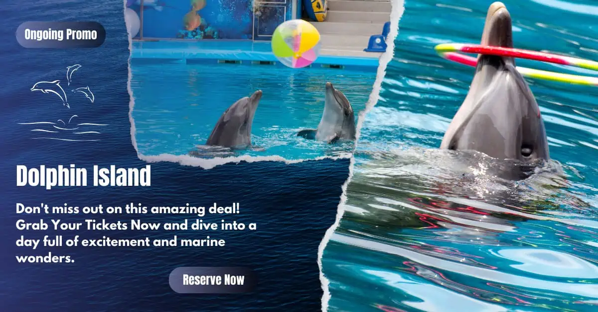 Dive into Adventure with My Singapore Pass Dolphin Island Singapore Tickets Monsoon Sale