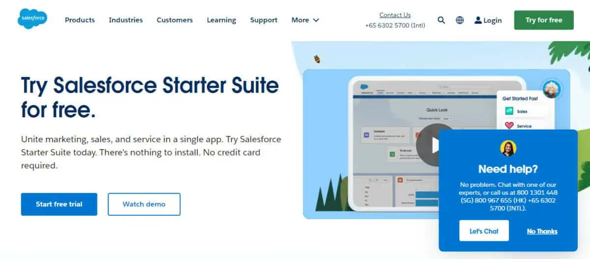 Salesforce Einstein display page