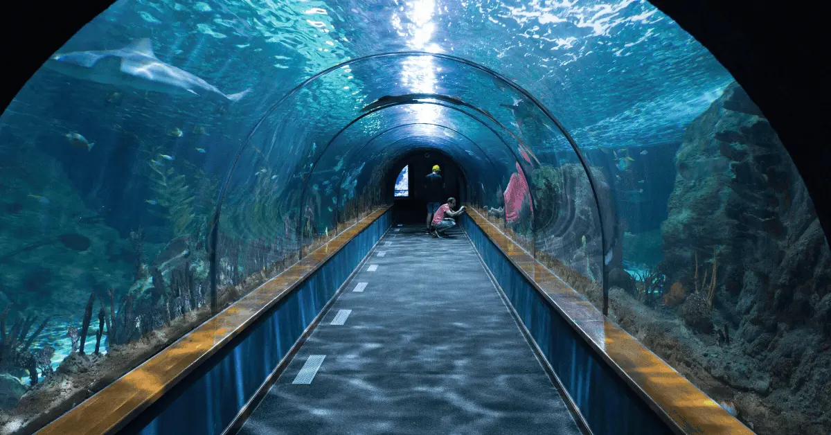 Dive into Adventure_ Genshin Impact x S.E.A. Aquarium Event at Universal Studios!