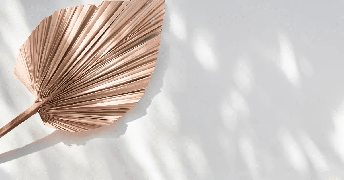 Unlock Timeless Radiance with ELIXIR at Metro!