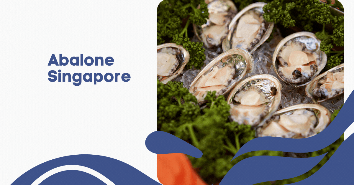 Abalone-Promotions-Dive-into-Exclusive-Deals-and-Discounts-in-Singapore