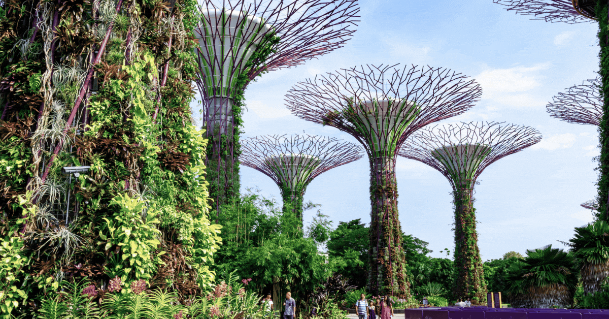 Experience the Magic of Christmas at Gardens by the Bay with Exclusive 1-for-1 Deals in Singapore!