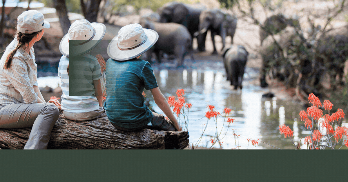 Singapore-River-Safari-Promotions-Exclusive-Deals-Thrilling-Wildlife-Adventures-Await