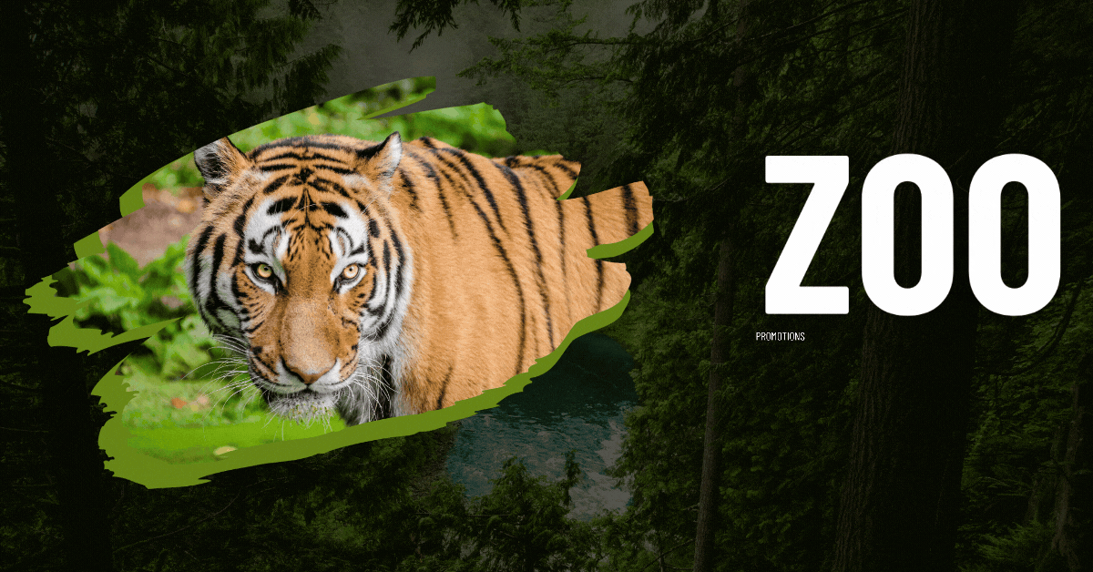 Singapore-Zoo-Promotions-Exclusive-Deals-Discounts-for-a-Wild-Adventure-Youll-Never-Forget