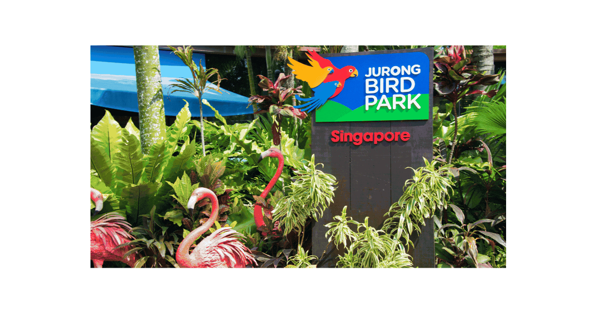 Bird-Park-Promotions-Soar-High-with-Spectacular-Discounts-in-Singapore