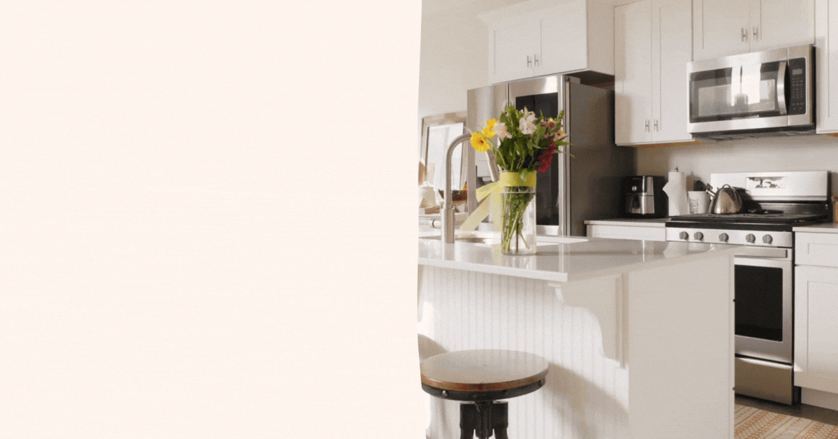 Kitchen-Cabinet-Promotions-Elegant-Designs-Budget-Friendly-Deals