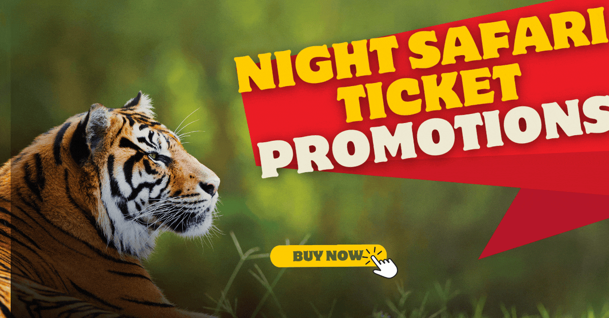 Night-Safari-Ticket-Promotions-Explore-the-Wild-with-Special-Ticket-Offers