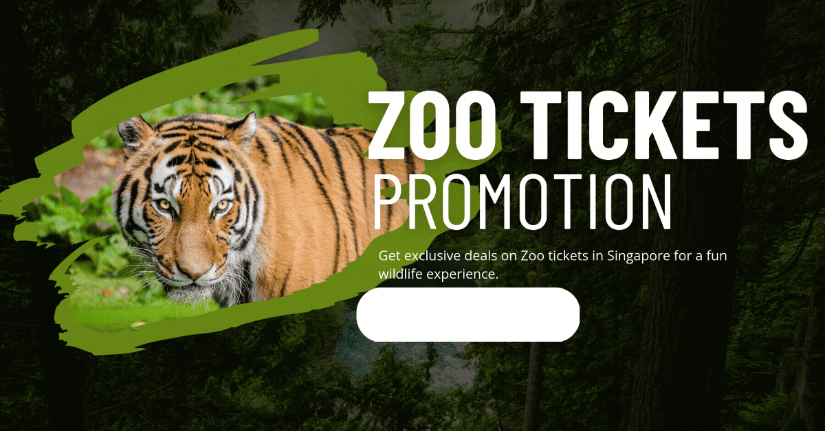 Zoo-Tickets-Promotions-Singapore-Embark-on-a-Wildlife-Adventure-with-Exclusive-Deals