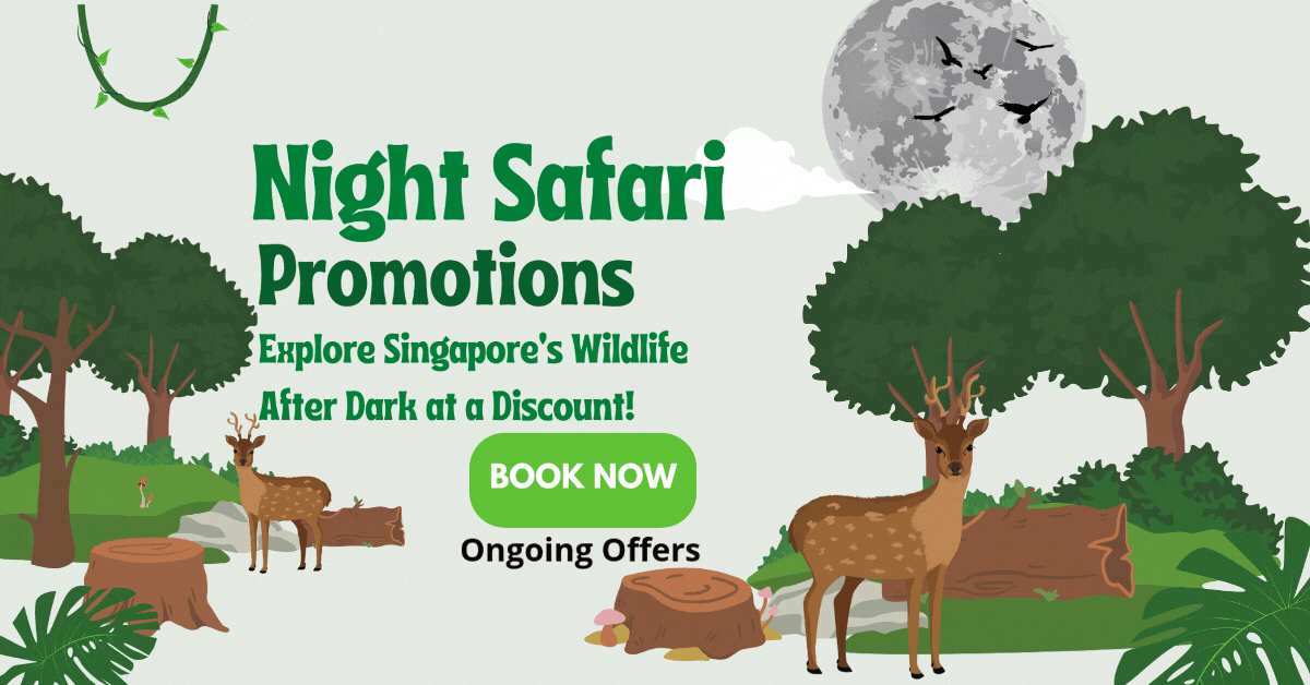 night-safari-promotions-explore-singapores-wildlife-after-dark-at-a-discount