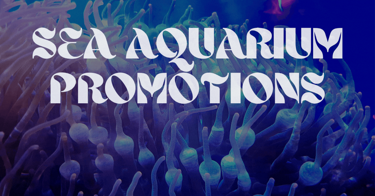 sea-aquarium-promotions-underwater-adventures-now-more-affordable