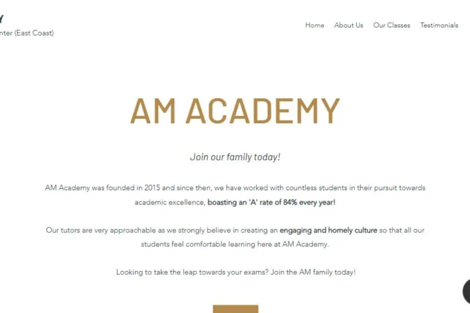 AM Academy: Singapore’s Premier Math Tuition Center
