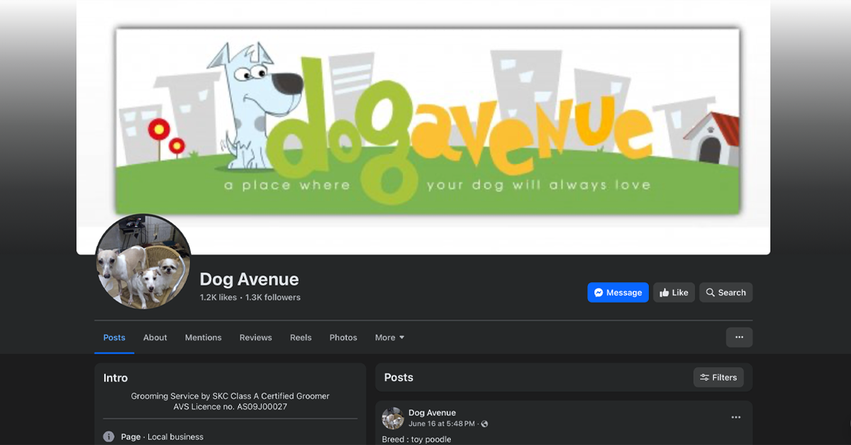 DOG AVENUE