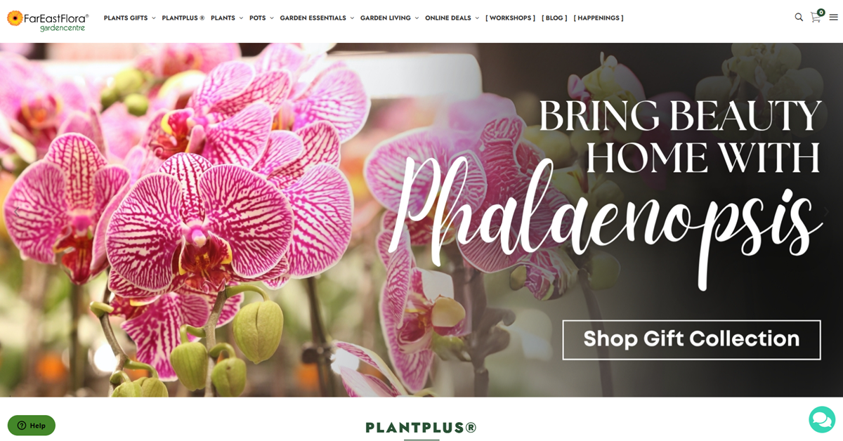 Far East Flora - elevate abode finest indoor plants in Singapore