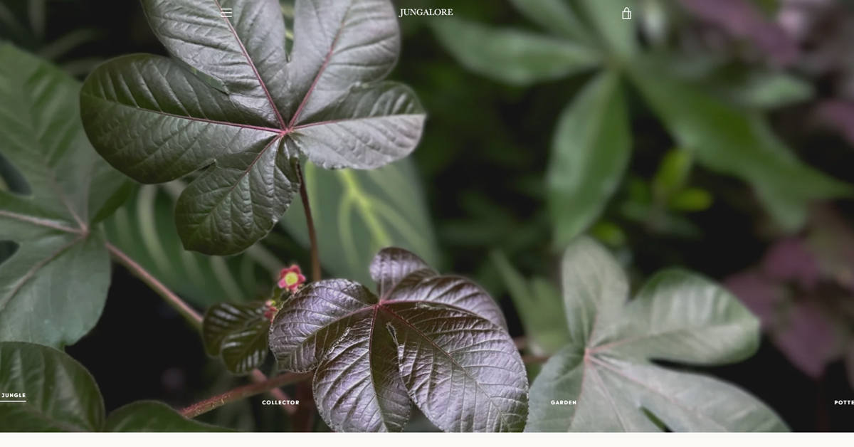 Jungalore - elevate abode finest indoor plants in Singapore