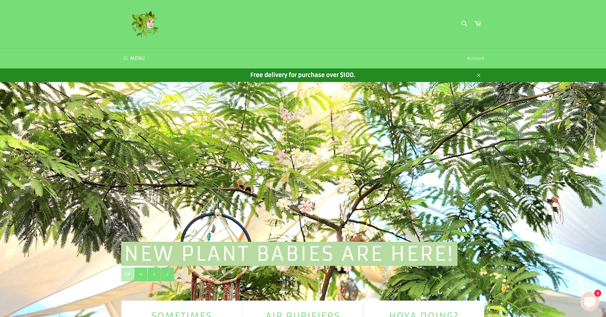 Littlebotany - elevate abode finest indoor plants in Singapore
