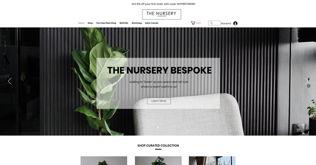 The Nursery Singapore - elevate abode finest indoor plants in Singapore