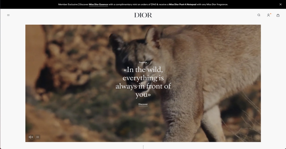 Christian Dior - luxury male perfume brands for sophisticated gentleman in Singapore