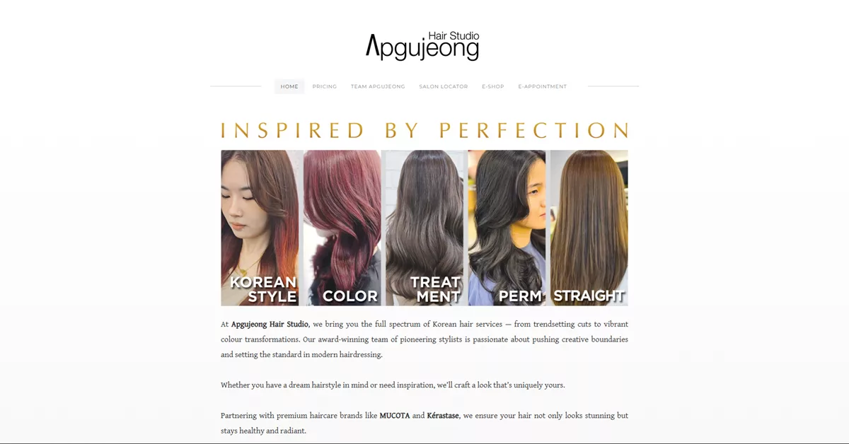 Apgujeong Hair Studio - exquisite hair salons for discerning aesthete in Singapore