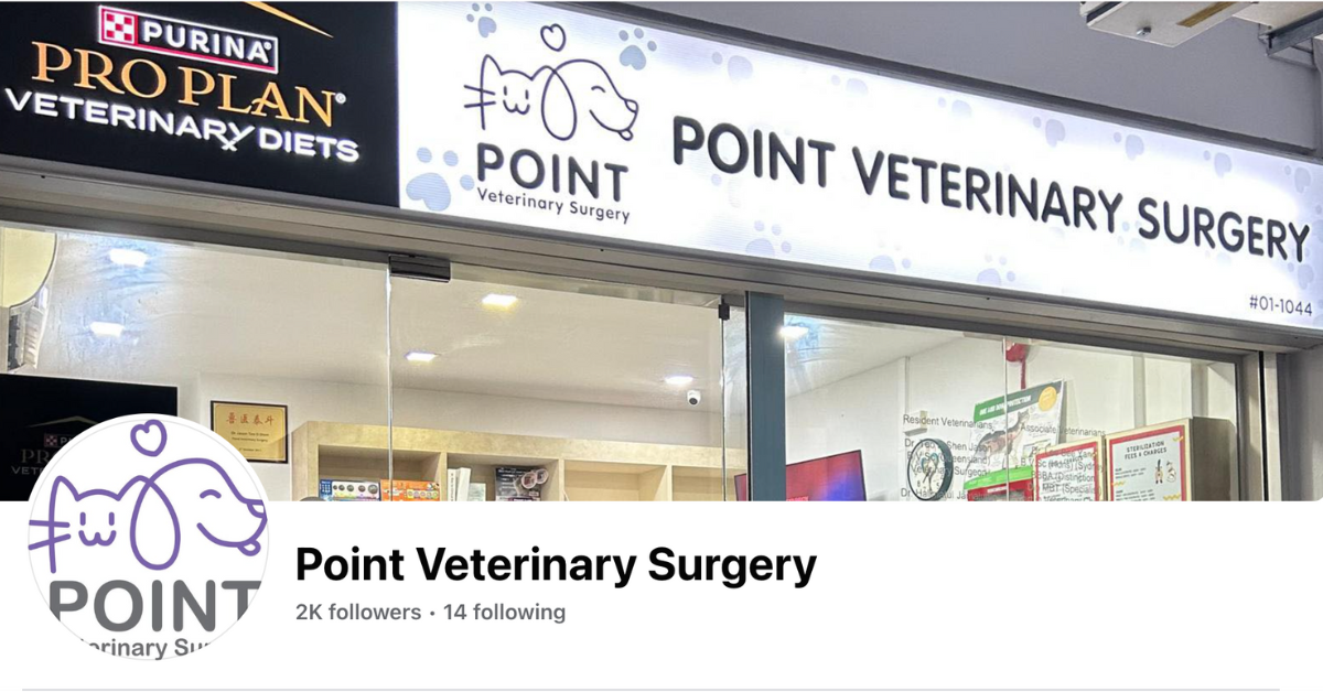 point-veterinary-pte-ltd.png
