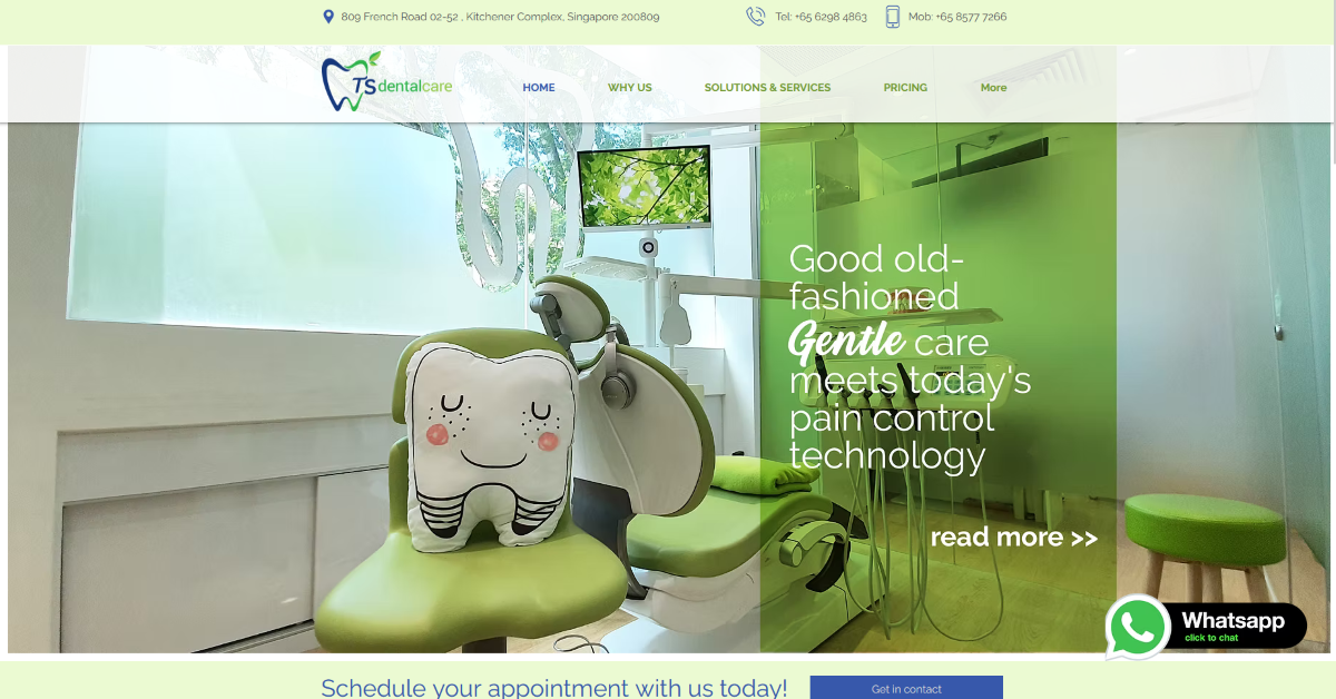 ts-dental-care