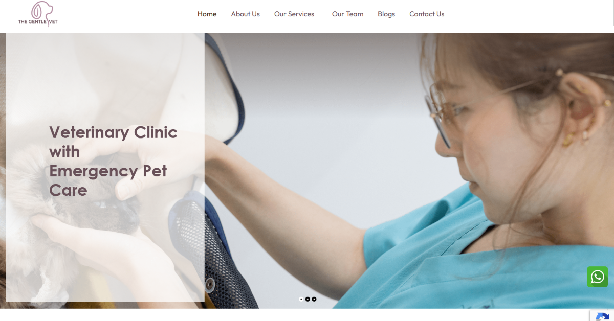 the-gentle-veterinary