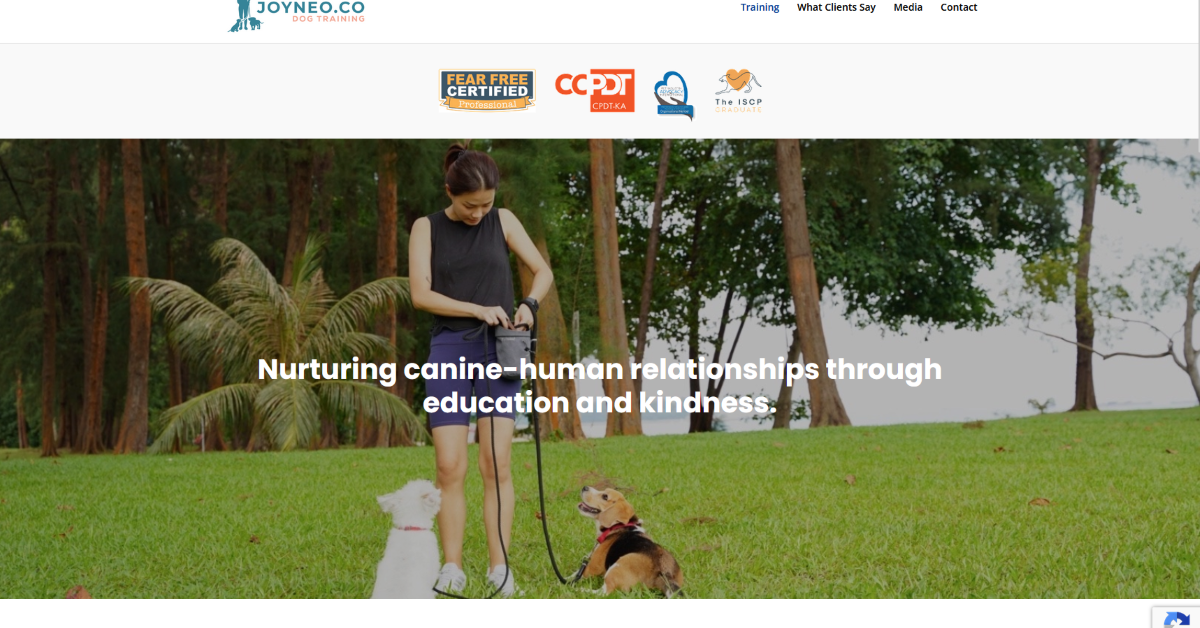 joyneo-co-dog-training