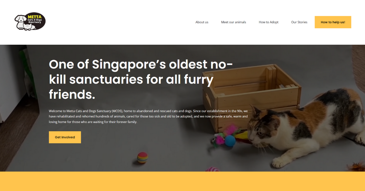 mettacats-dogs-sanctuary-ltd.png